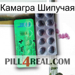 Камагра Шипучая new04